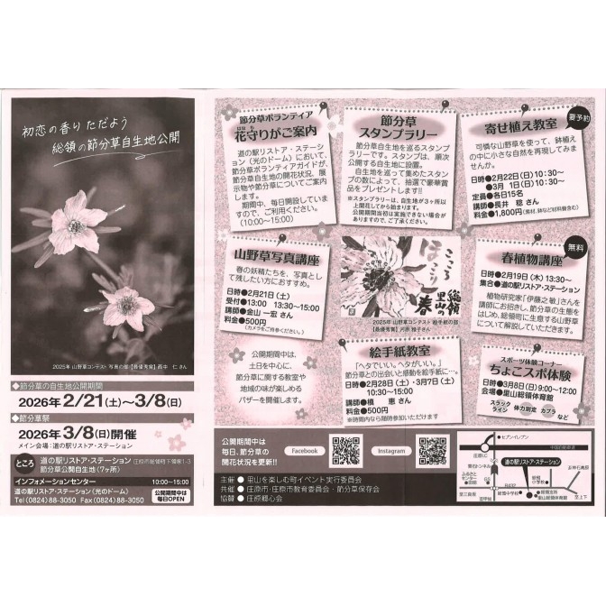 節分草自生地公開／節分草祭り