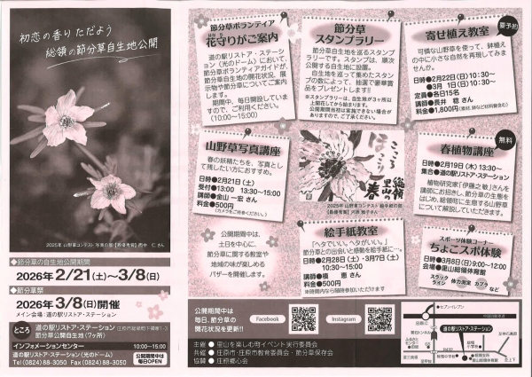 節分草自生地公開／節分草祭り