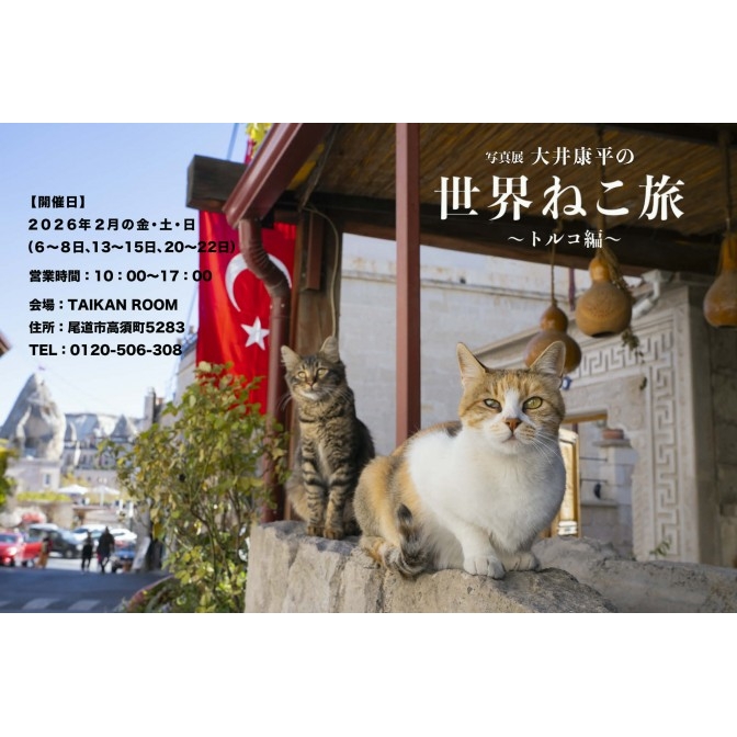 写真展「大井康平の世界ねこ旅～トルコ編」【期間中の金・土・日開館】