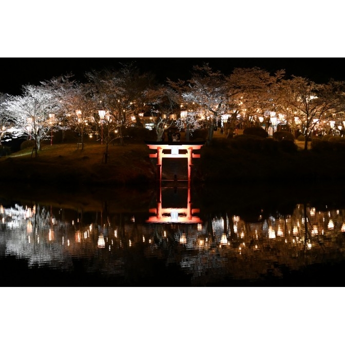 上野公園 桜まつり2026