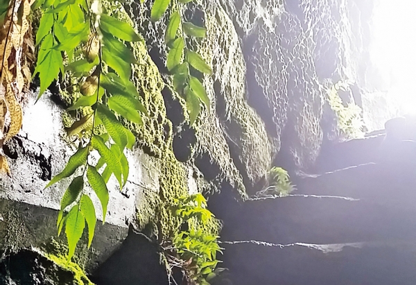 竜渓洞 定時ガイド GW特別開催