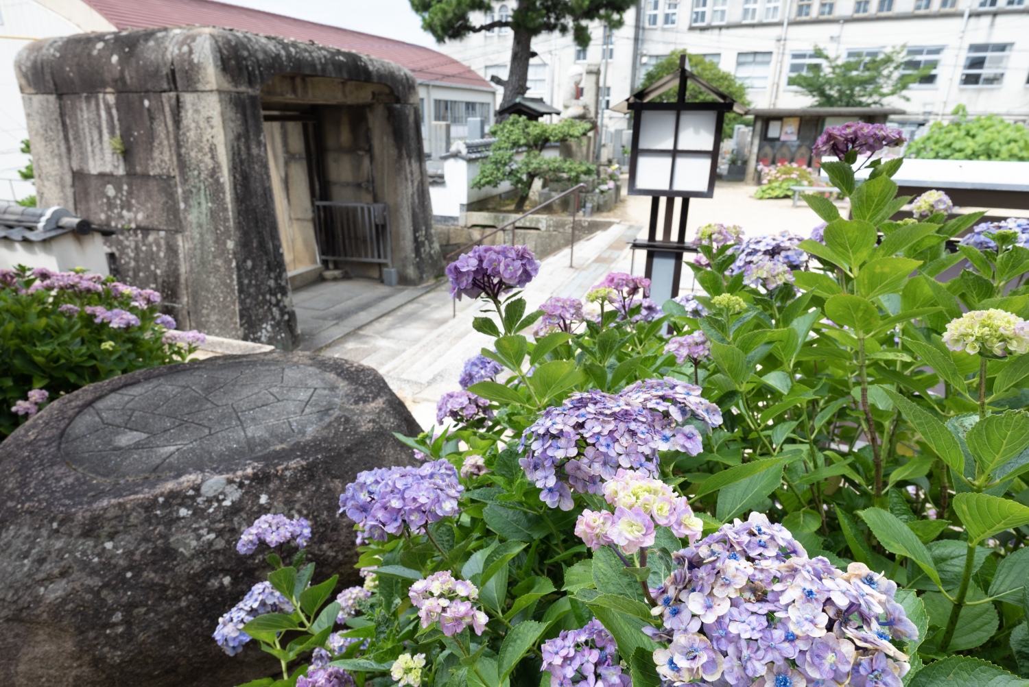 持光寺〔浄土宗〕