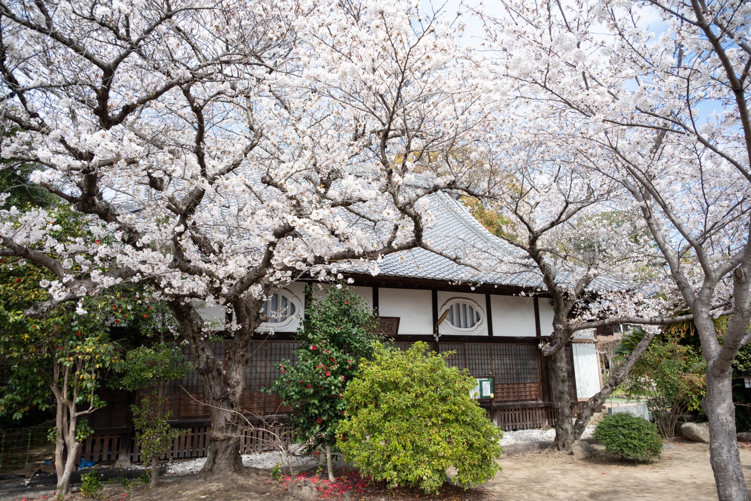 信行寺〔浄土宗〕