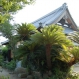 信行寺〔浄土宗〕