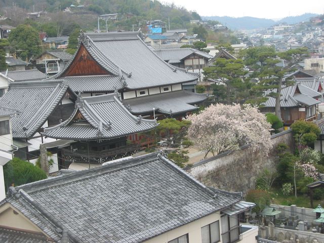 妙宣寺〔日蓮宗〕