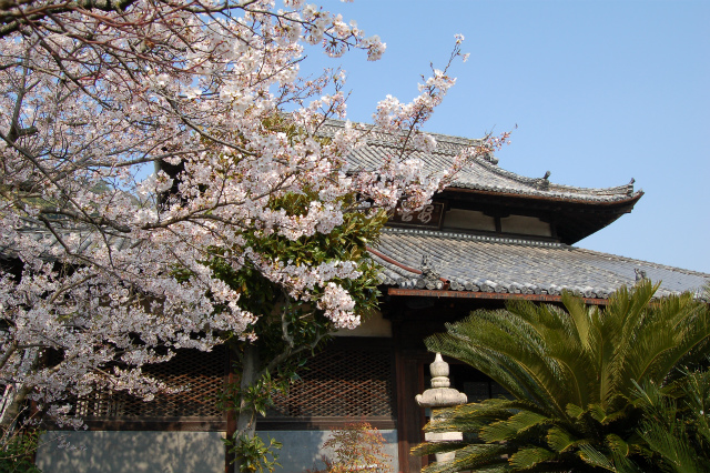 慈観寺〔時宗〕