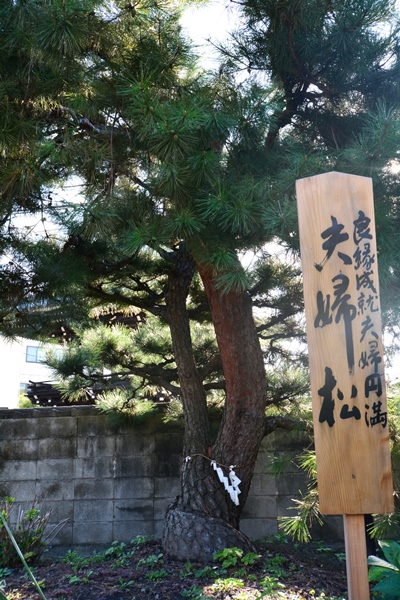 慈観寺〔時宗〕