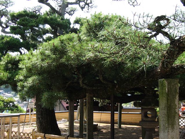 福善寺〔浄土真宗〕