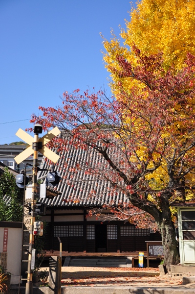 常称寺〔時宗〕