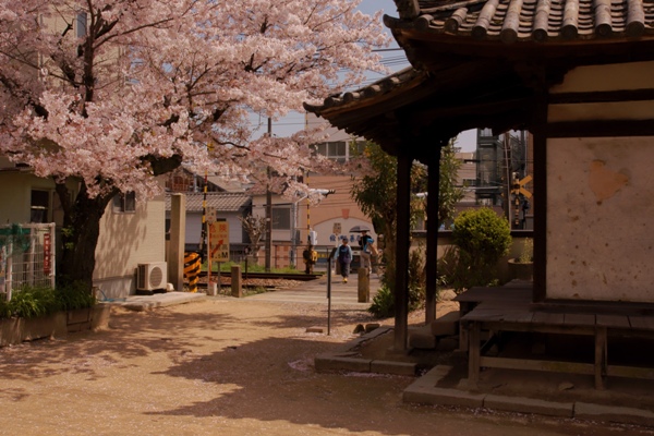 常称寺〔時宗〕