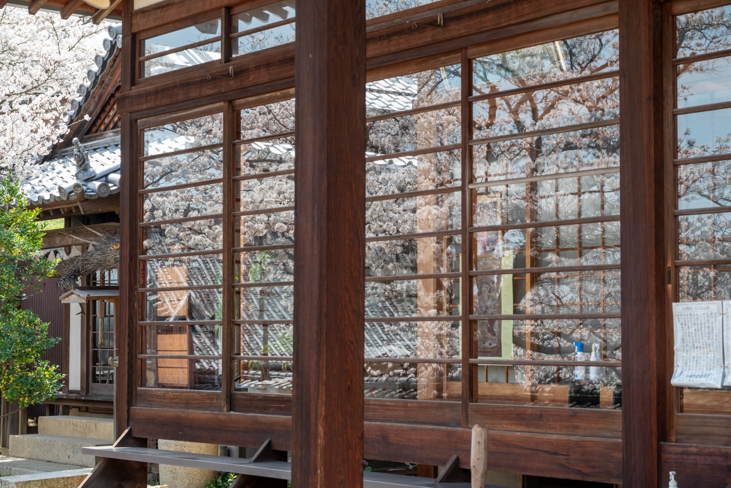 持善院〔真言宗〕