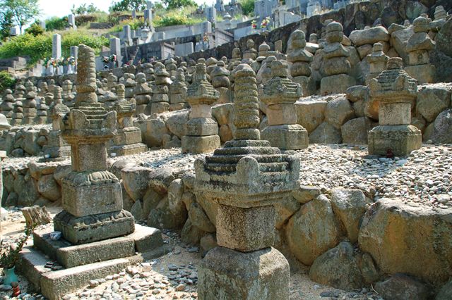 金蓮寺〔曹洞宗〕