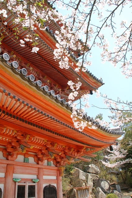 春の国宝三重塔