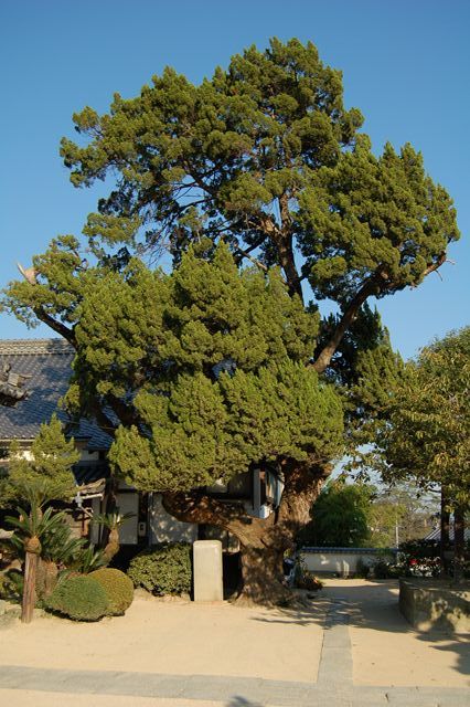 善立寺〔浄土真宗〕