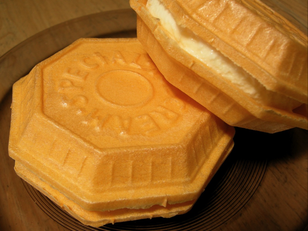 手づくりアイスクリーム からさわ