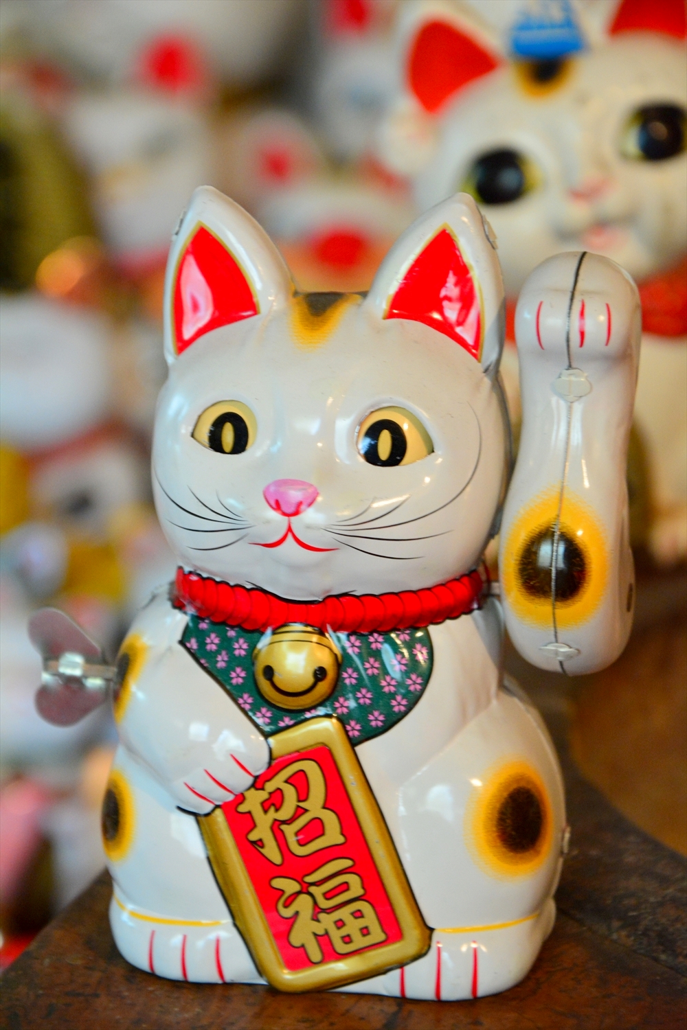 尾道イーハトーヴ・招き猫美術館in尾道