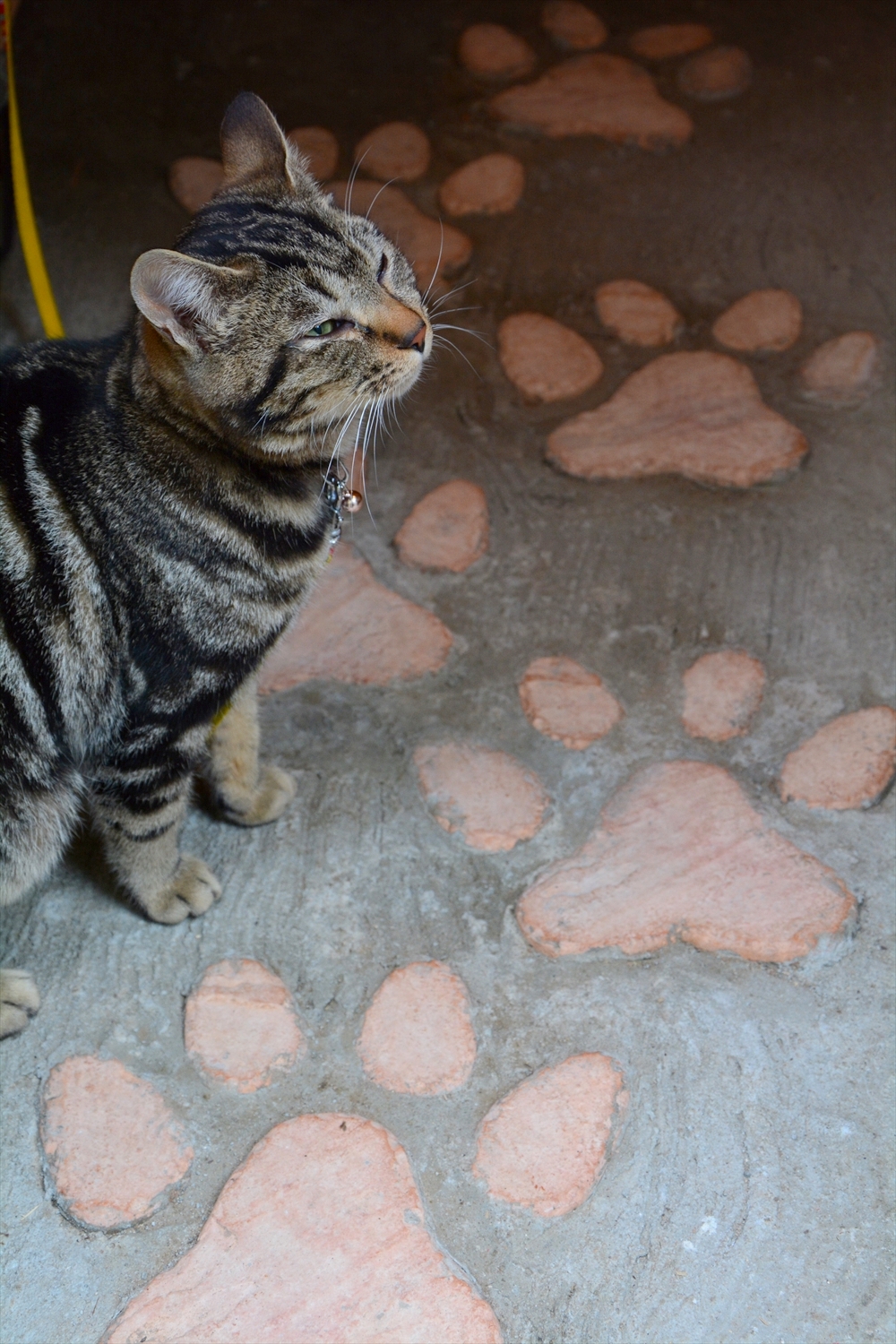 尾道イーハトーヴ・招き猫美術館in尾道