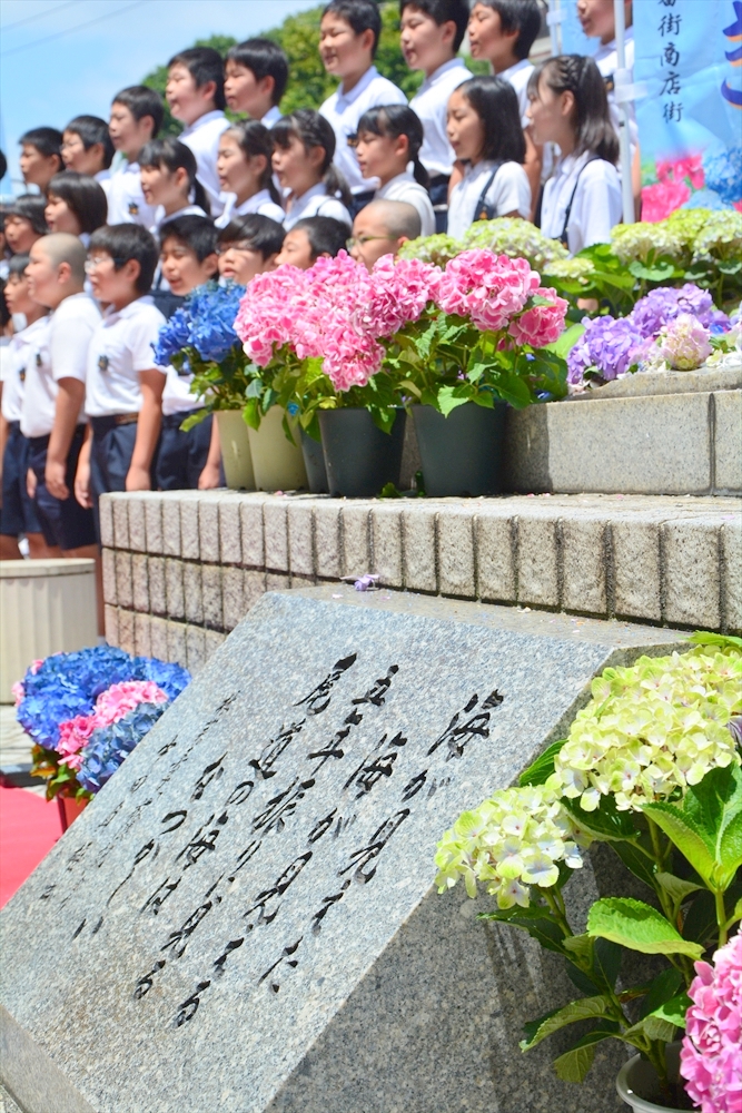 （6月下旬）あじさいき