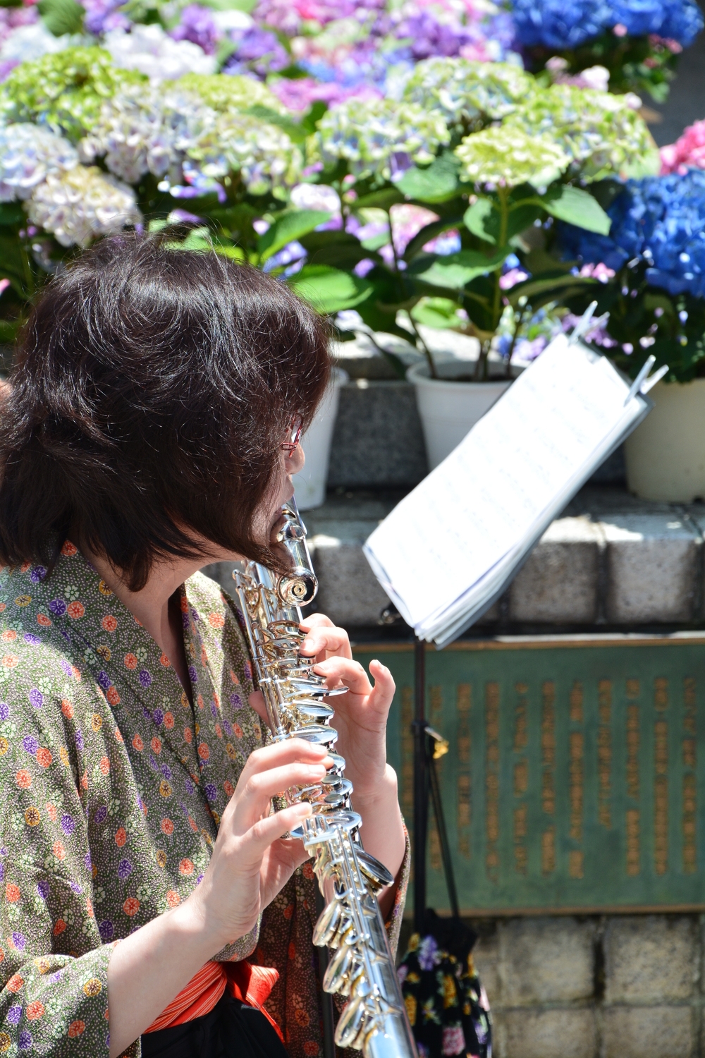 （6月下旬）あじさいき