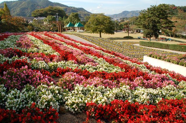尾道市因島フラワーセンター