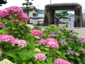 （年中）古寺を巡って朱印をもらおう！『尾道七佛めぐり』