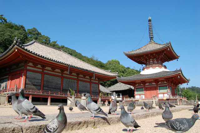 （年中）古寺を巡って朱印をもらおう！『尾道七佛めぐり』