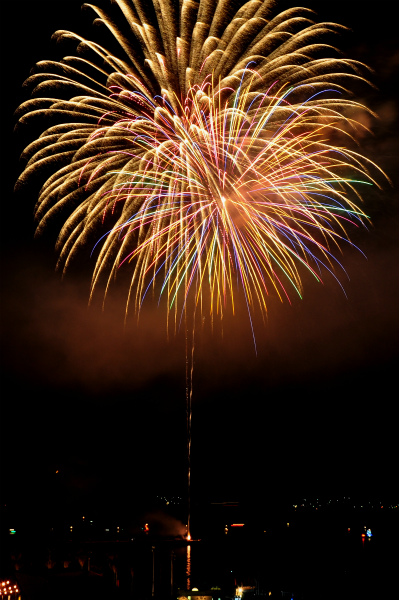 色鮮やかに花を開きます