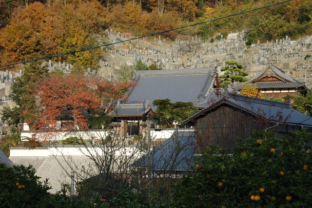 本因坊秀策の墓