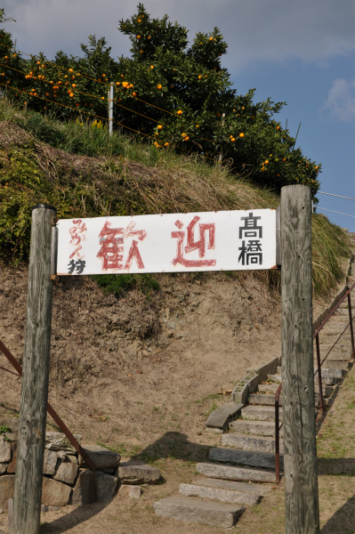 高橋みかん狩りセンター