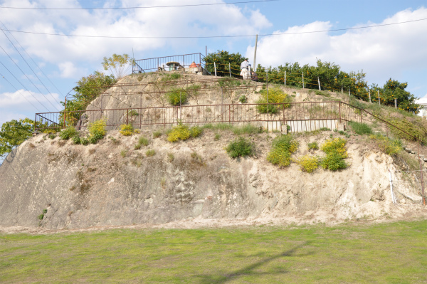 高橋みかん狩りセンター
