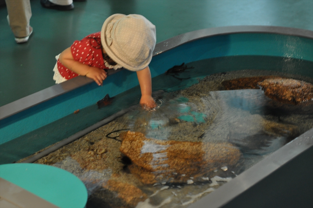 福山大学マリンバイオセンター水族館