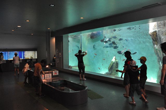 福山大学マリンバイオセンター水族館