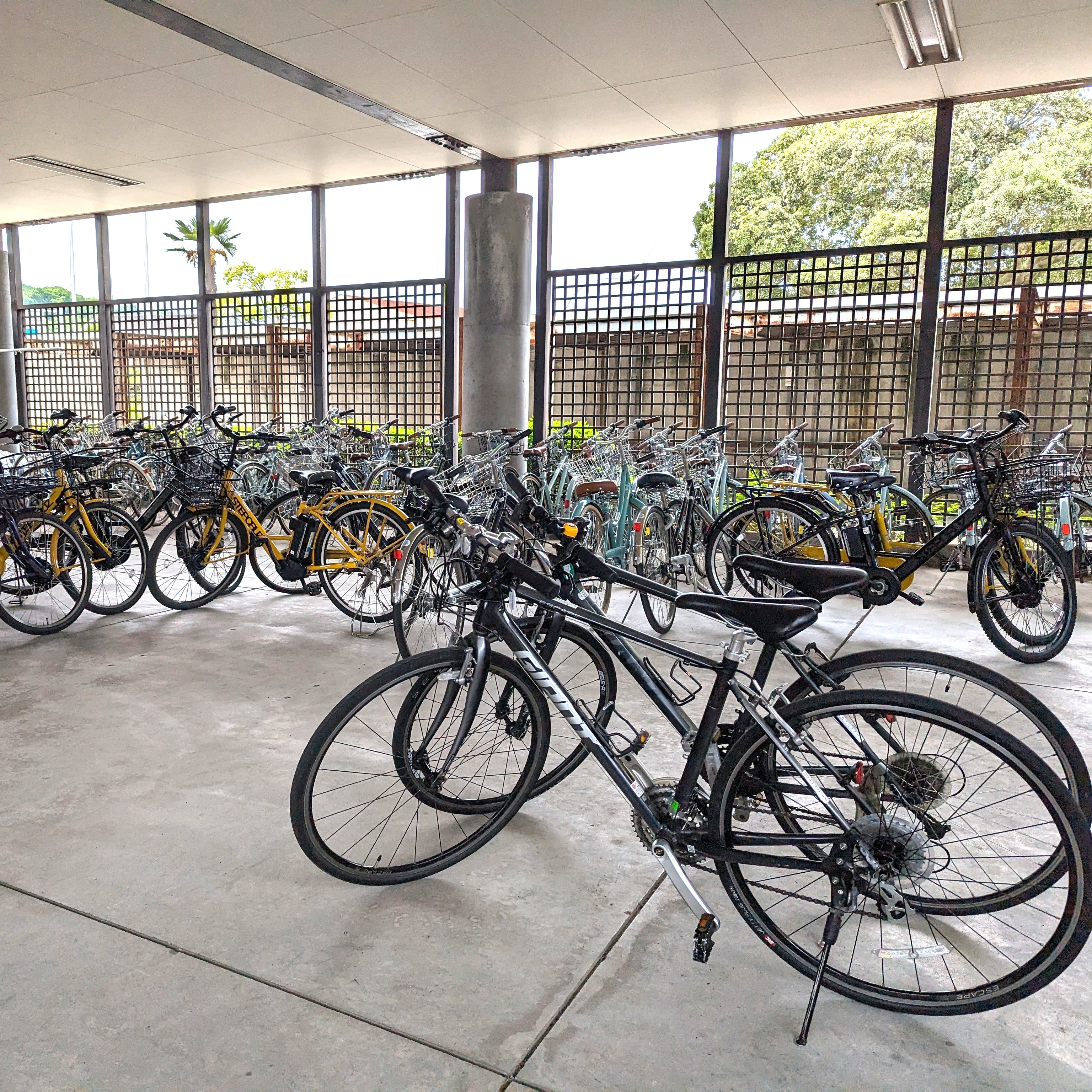 瀬戸田町観光案内所