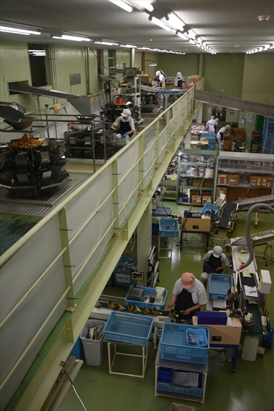 袋詰めのライン全景