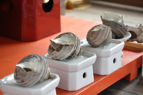 耳明神社には中耳の形に似たサザエが奉納されています