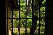 爽籟軒庭園