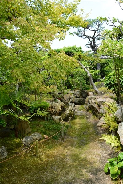 ここが街中であることを忘れそうです