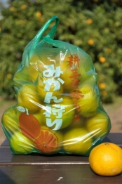 河野観光農園