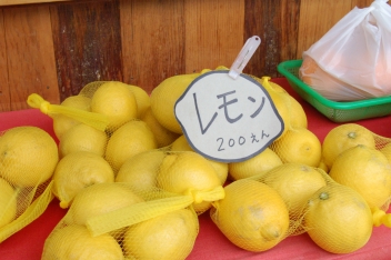 河野農園