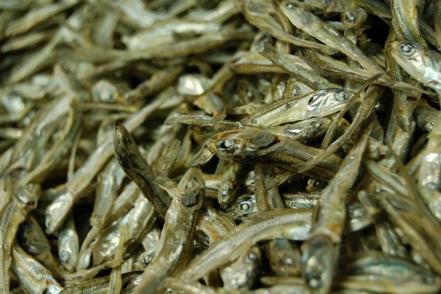 （有）カネカ佐藤商店