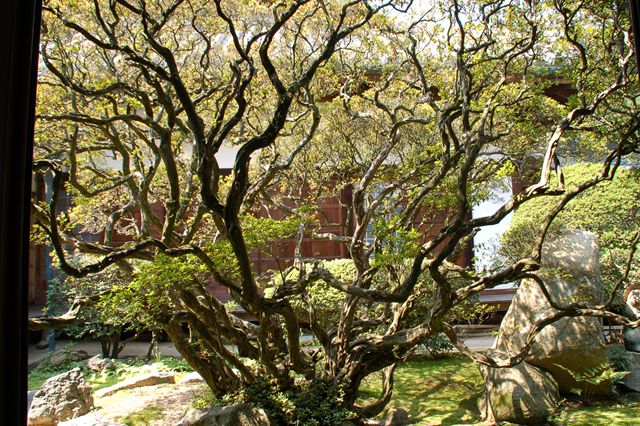 法然寺(浄土宗)