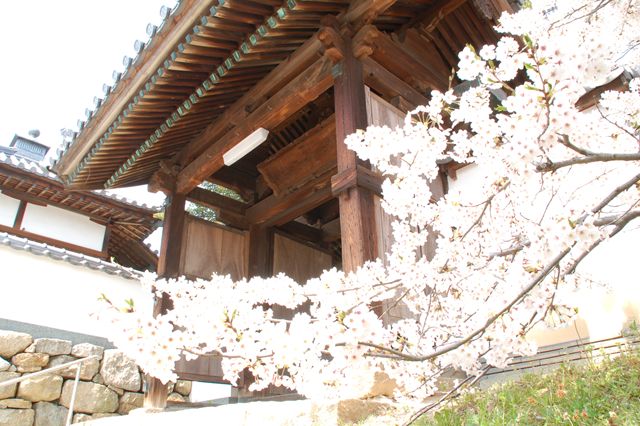 法然寺(浄土宗)