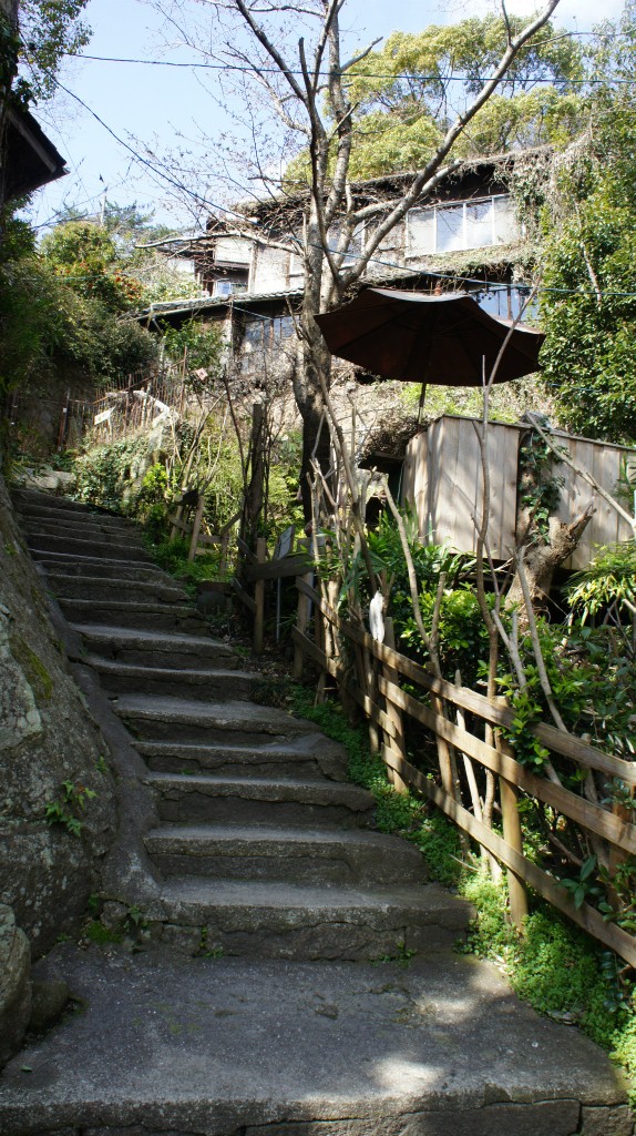 猫の細道より見上げる