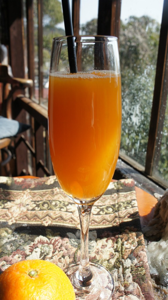 清見オレンジ生搾りジュース