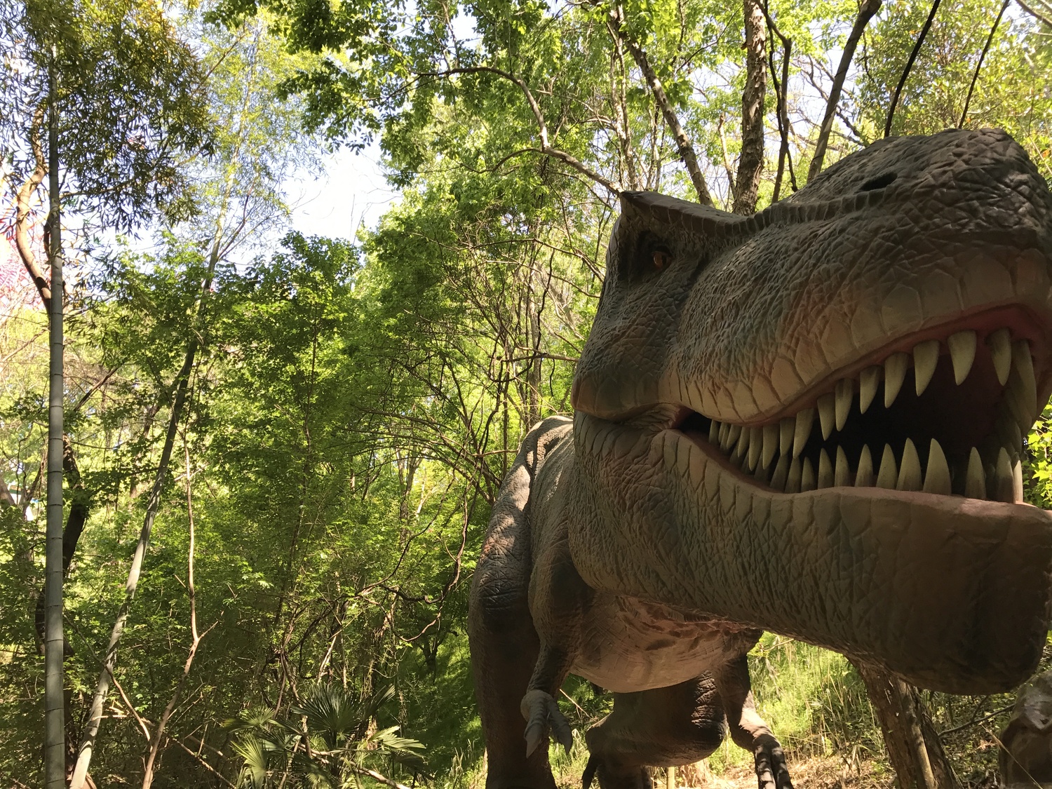 3世代テーマパーク　みろくの里