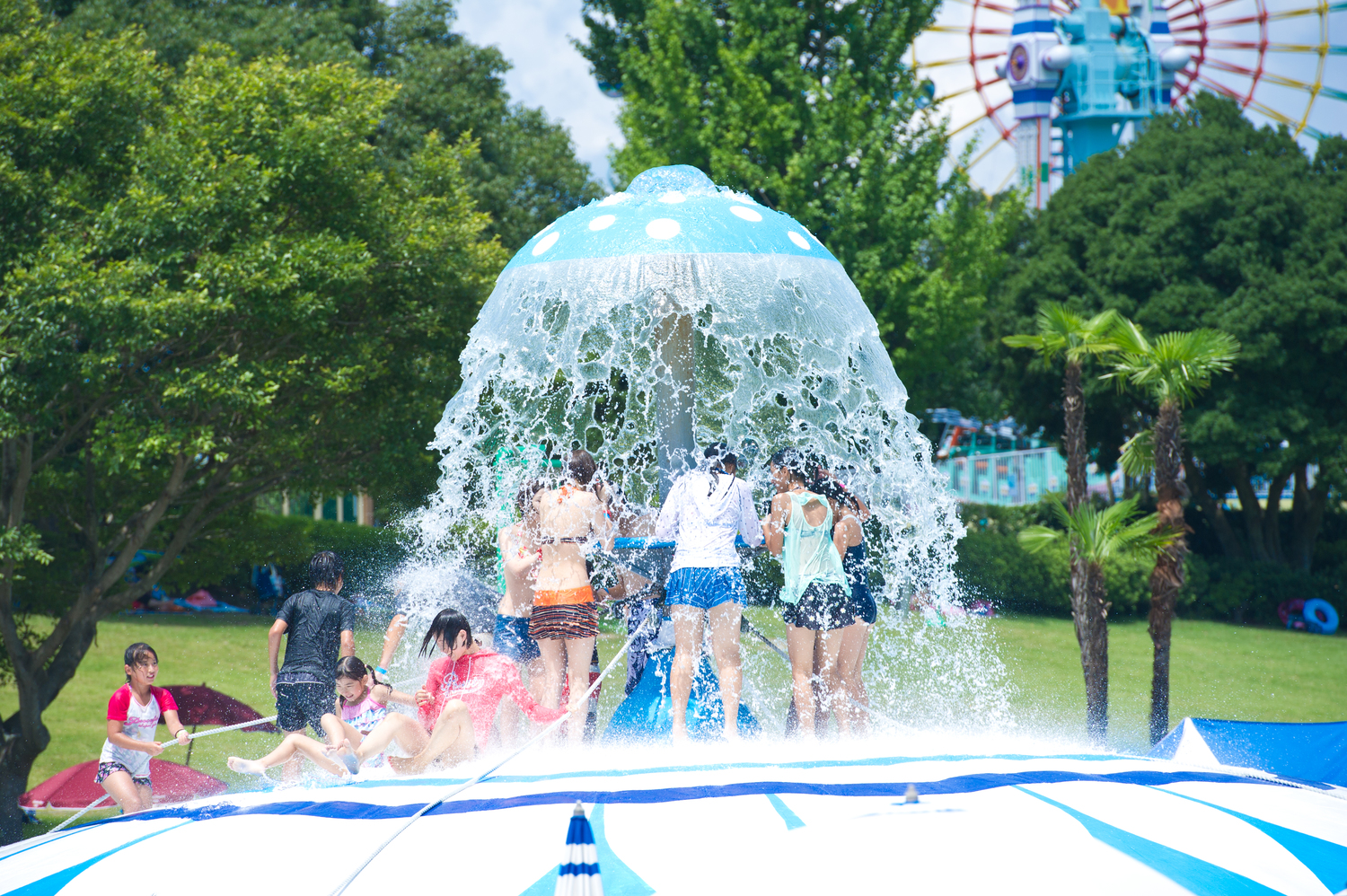 3世代テーマパーク　みろくの里