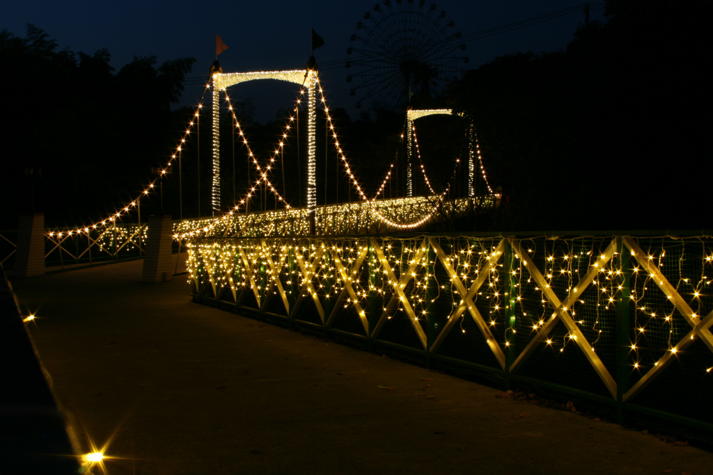 実写森の空中橋ライトアップ