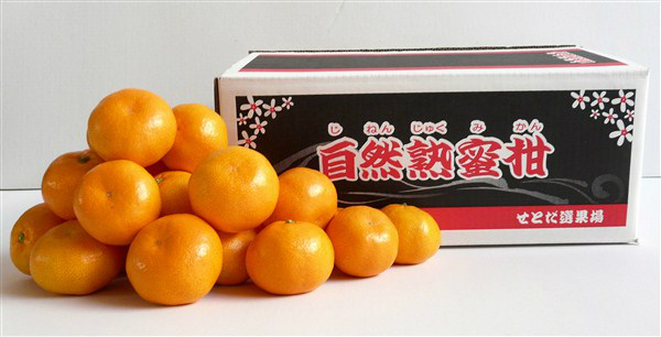 JAひろしま　せとだ柑橘事務所