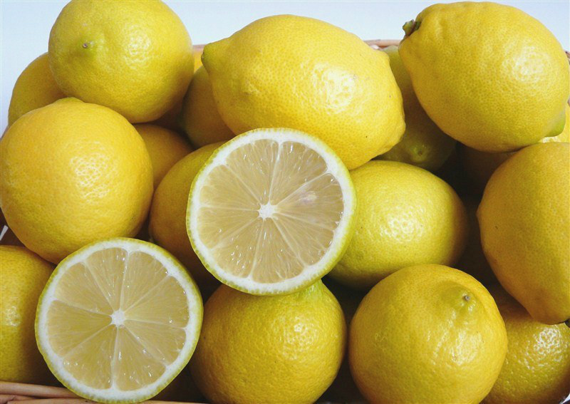 せとだエコレモン®