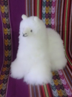 （株）アミーゴス